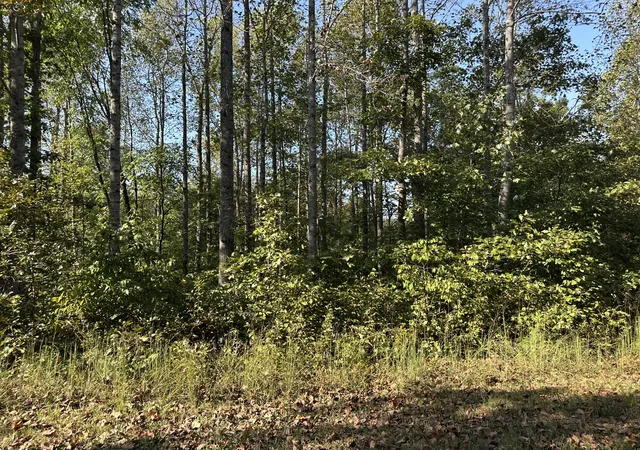 Photo 1 of Land for sale at 2100 Highway 13, Erin, TN 37061 | MLS# 3593673 | Listing updated on 2026-09-22