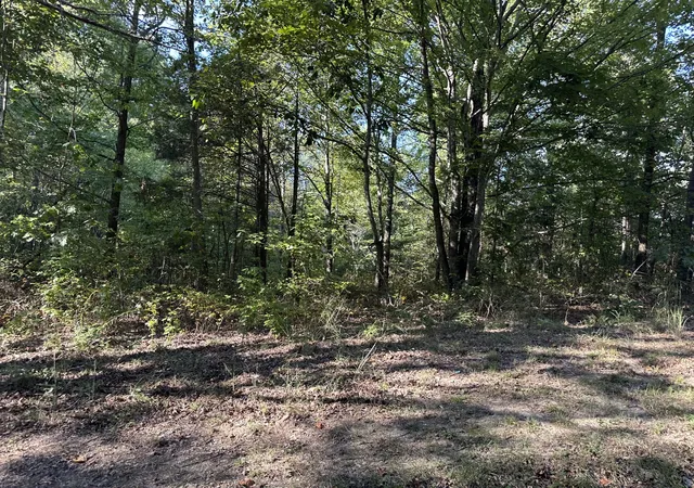 Photo 3 of Land for sale at 2100 Highway 13, Erin, TN 37061 | MLS# 3593673 | Listing updated on 2026-09-22
