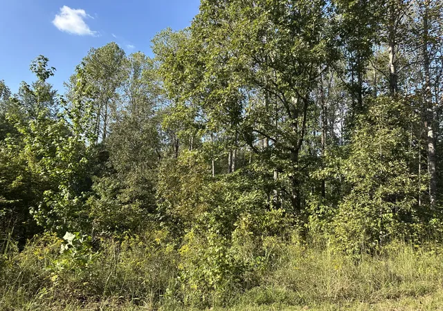 Photo 3 of House for sale at 2100 Highway 13, Erin, TN 37061 | MLS# 3593673 | Listing updated on 2026-09-22