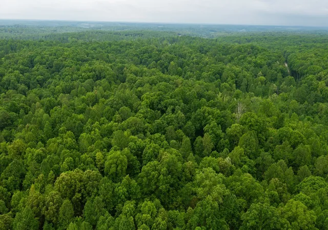 Photo 4 of House for sale at 2100 Highway 13, Erin, TN 37061 | MLS# 3593673 | Listing updated on 2026-09-22