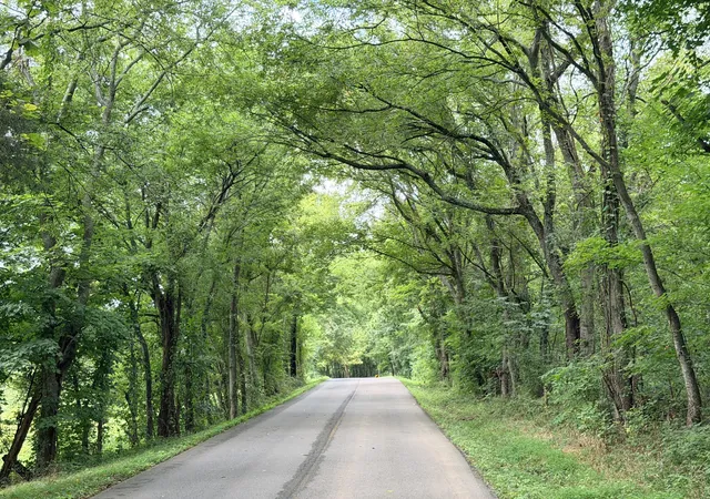Photo 3 of Land for sale at 0 Greenvale Rd, Watertown, TN 37184 | MLS# 3593188 | Listing updated on 2026-09-26