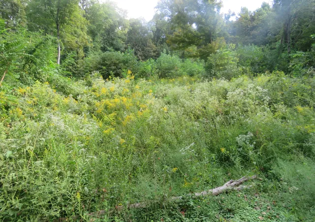 Photo 1 of Land for sale at 0 Watauga Rd, Cookeville, TN 38506 | MLS# 3593261 | Listing updated on 2026-09-17