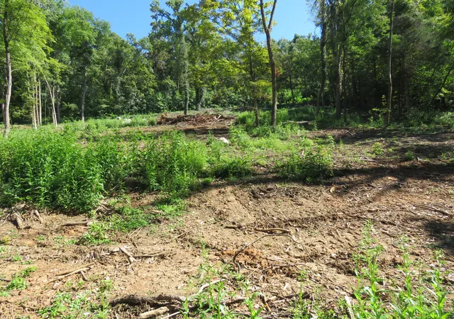 Photo 4 of Land for sale at 0 Watauga Rd, Cookeville, TN 38506 | MLS# 3593261 | Listing updated on 2026-09-17