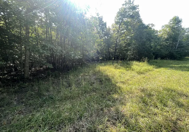 Photo 3 of Land for sale at 0 Holly Ln, Spencer, TN 38585 | MLS# 3593020 | Listing updated on 2026-09-16