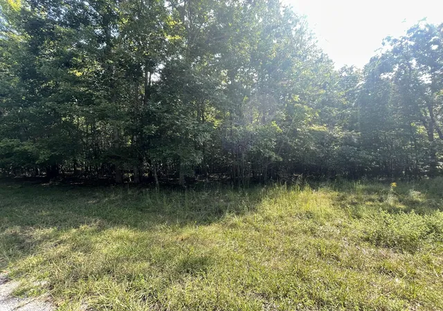 Photo 3 of Land for sale at 0 Holly Ln, Spencer, TN 38585 | MLS# 3593020 | Listing updated on 2026-09-16