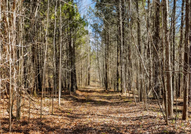 Photo 2 of Land for sale at 1 Fowler Rd, Beech Bluff, TN 38313 | MLS# 3593061 | Listing updated on 2026-09-16