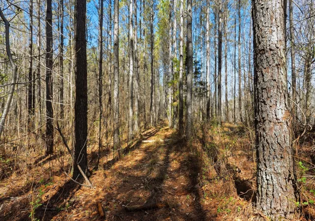 Photo 3 of Land for sale at 1 Fowler Rd, Beech Bluff, TN 38313 | MLS# 3593061 | Listing updated on 2026-09-16