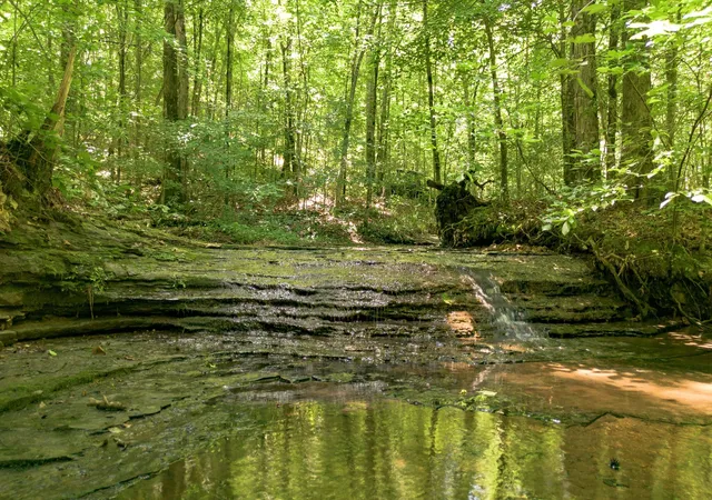 Photo 2 of Land for sale at 8218 Old Pond Crk Rd, Pegram, TN 37143 | MLS# 3594236 | Listing updated on 2026-09-23