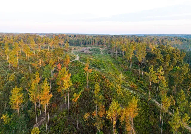 Photo 2 of Land for sale at 0 2nd Creek Rd, Lutts, TN 38471 | MLS# 3594019 | Listing updated on 2026-09-19