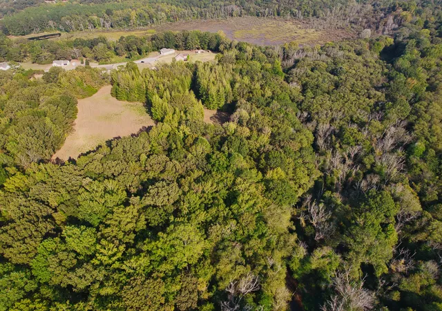 Photo 3 of Land for sale at 0 Cedar Brk, Henderson, TN 38340 | MLS# 3594350 | Listing updated on 2026-09-18