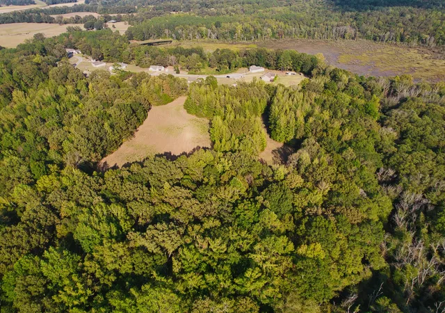 Photo 3 of Land for sale at 0 Cedar Brk, Henderson, TN 38340 | MLS# 3594350 | Listing updated on 2026-09-18