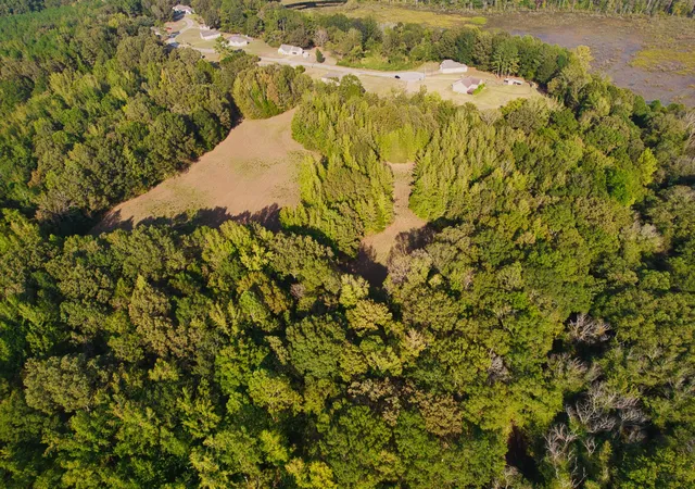 Photo 4 of Land for sale at 0 Cedar Brk, Henderson, TN 38340 | MLS# 3594350 | Listing updated on 2026-09-18