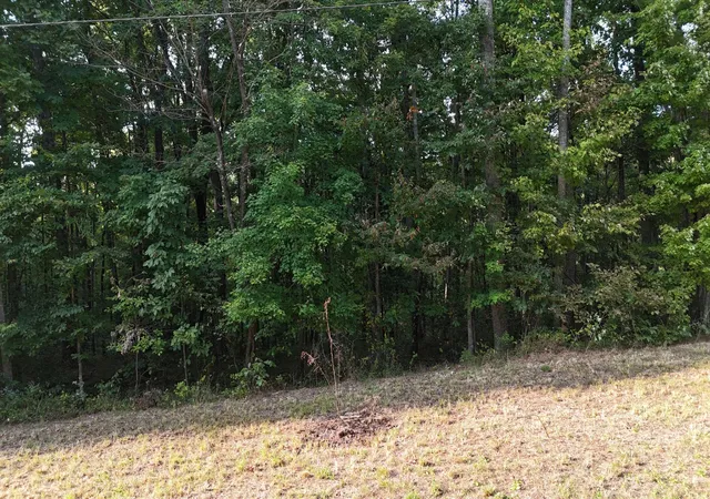 Photo 2 of Land for sale at 11 Poston, Monterey, TN 38574 | MLS# 3594329 | Listing updated on 2026-09-18