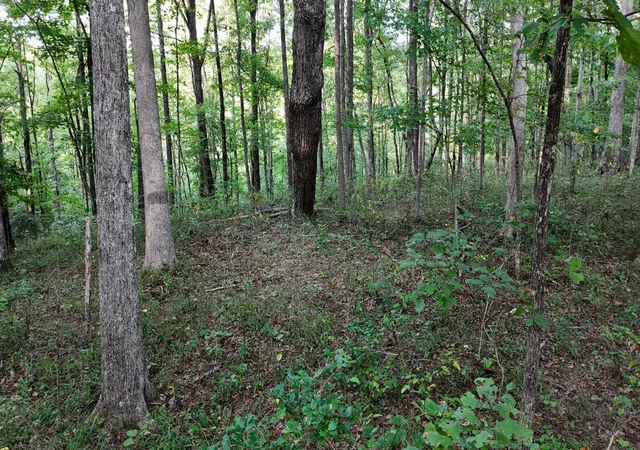 Photo 3 of Land for sale at 11 Poston, Monterey, TN 38574 | MLS# 3594329 | Listing updated on 2026-09-18