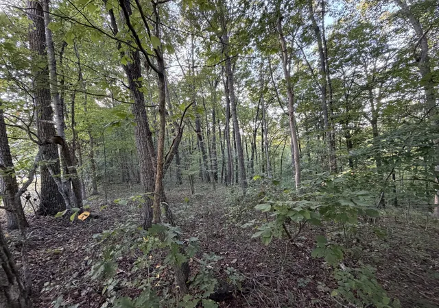 Photo 3 of Land for sale at 11 Poston, Monterey, TN 38574 | MLS# 3594329 | Listing updated on 2026-09-18