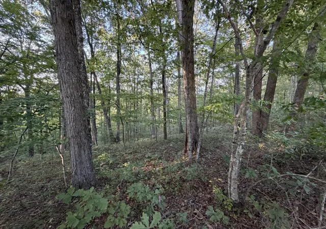 Photo 4 of Land for sale at 11 Poston, Monterey, TN 38574 | MLS# 3594329 | Listing updated on 2026-09-18