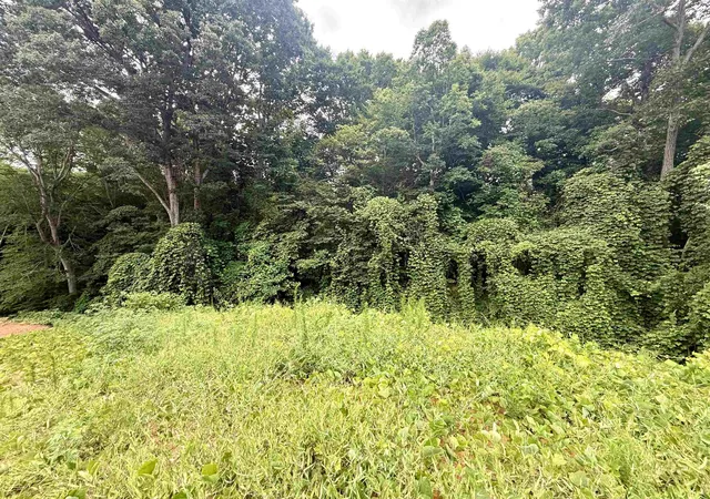 Photo 3 of Unimproved Land at 624 Pearson Town Rd, Moore, SC 29369 | MLS# SPN338764 | | Sold on 2026-09-23
