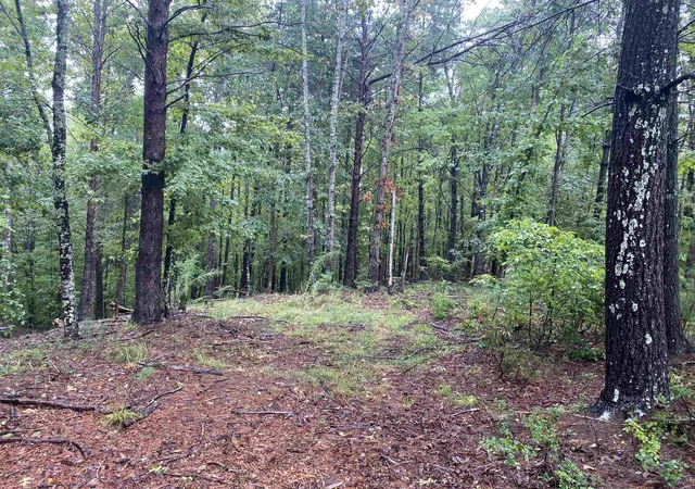 Photo 3 of Land for sale at 112 Wake Robin Dr, Sunset, SC 29685 | MLS# SPN341736 | Listing updated on 2026-09-17