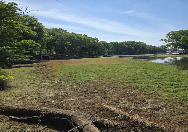 Photo 3 of Land for sale at Lot 16 A Cypress Rd, Clover, SC | MLS# SPN341821 | Listing updated on 2026-09-18