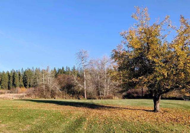 Photo 4 of Manufactured home for sale at 26310 N River Ests Dr, Chattaroy, WA 99003 | MLS# 202611600 | Listing updated on 2026-09-23