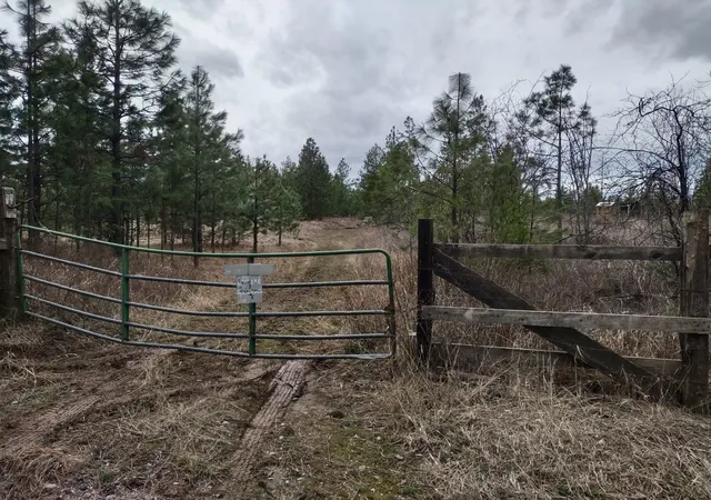 Photo 1 of Land for sale at Xx Lyons Hl Rd, Springdale, WA 99173 | MLS# 202614020 | Listing updated on 2026-09-16