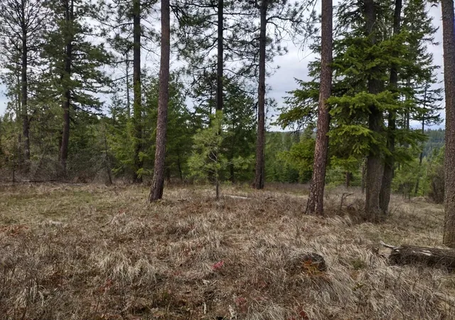 Photo 3 of Land for sale at Xx Lyons Hl Rd, Springdale, WA 99173 | MLS# 202614020 | Listing updated on 2026-09-16