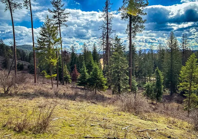 Photo 3 of Land for sale at Nka Best Chance Rd, Usk, WA 99180 | MLS# 202614415 | Listing updated on 2026-09-16