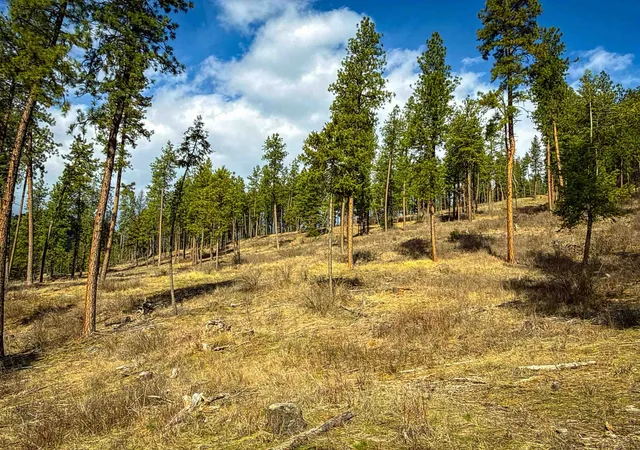 Photo 4 of Land for sale at Nka Best Chance Rd, Usk, WA 99180 | MLS# 202614415 | Listing updated on 2026-09-16