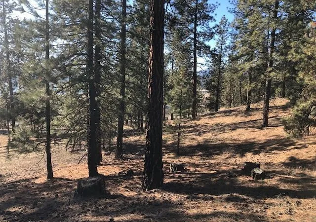 Photo 3 of Sale Pending at 6 Parkview Dr, Kettle Falls, WA 99141 | MLS# 202616835 | Listing updated on 2026-09-17