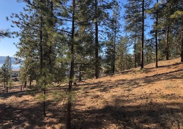 Photo 4 of Sale Pending at 6 Parkview Dr, Kettle Falls, WA 99141 | MLS# 202616835 | Listing updated on 2026-09-17