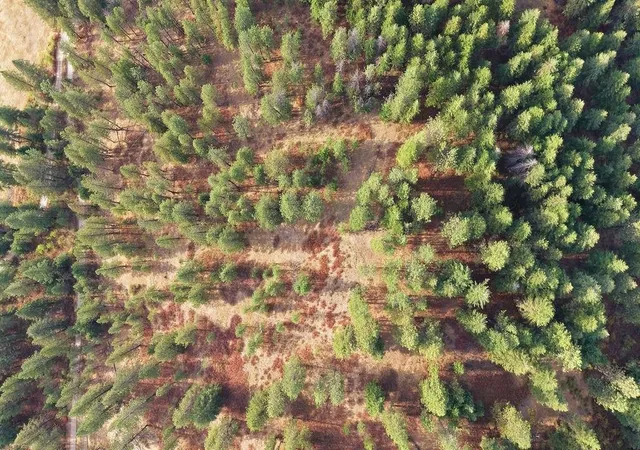 Land for sale at Nka Timberlane Cir, Spokane, WA 99021 | MLS# 202624342