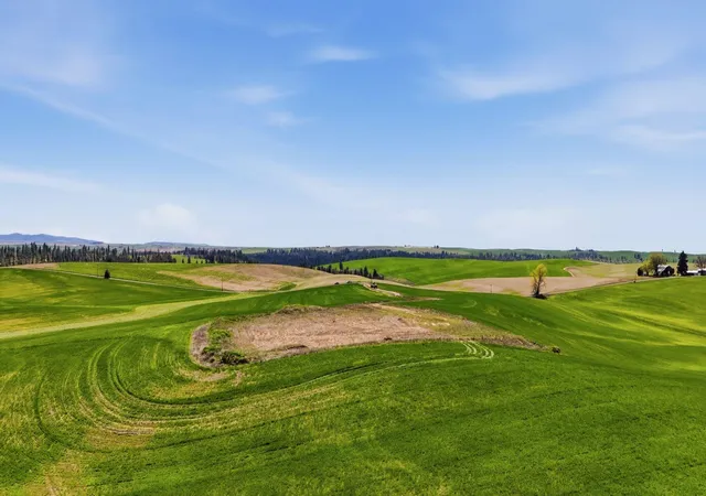 Photo 2 of Land for sale at 11879 E Elder Rd, Valleyford, WA 99036 | MLS# 202624373 | Listing updated on 2026-09-23