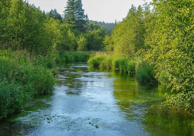 Photo 1 of Land for sale at Nka Little Spokane River Rd, Newport, WA 99156 | MLS# 202624453 | Listing updated on 2026-09-18