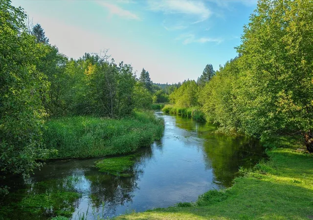 Photo 3 of Land for sale at Nka Little Spokane River Rd, Newport, WA 99156 | MLS# 202624453 | Listing updated on 2026-09-18