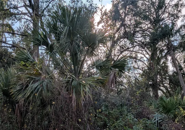 Photo 2 of Land for sale at 107 Juper St, Port Charlotte, FL 33953 | MLS# D6140016 | Listing updated on 2026-09-24