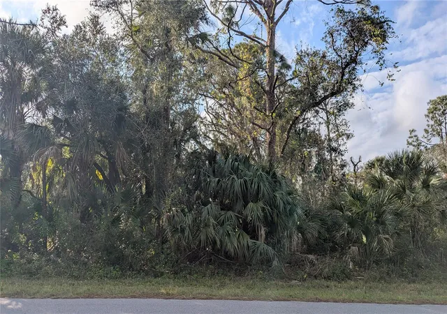 Photo 4 of Land for sale at 107 Juper St, Port Charlotte, FL 33953 | MLS# D6140016 | Listing updated on 2026-09-24