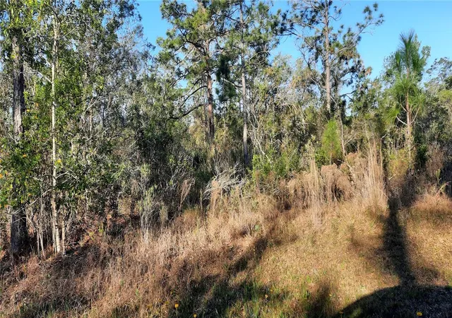 Photo 4 of Land for sale at 623 Granada Dr, Indian Lake Estates, FL 33855 | MLS# TB8363244 | Listing updated on 2026-09-17