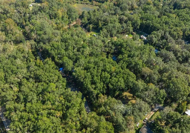 Photo 4 of Land for sale at 0 NE 164th Ln #53 55, Citra, FL 32113 | MLS# A4675574 | Listing updated on 2026-09-16