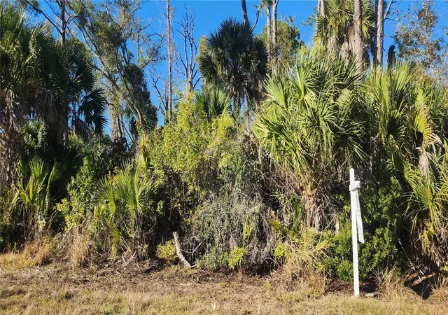 Photo 2 of Land for sale at 12006 Coleman Ave, Port Charlotte, FL 33981 | MLS# D6146062 | Listing updated on 2026-09-09