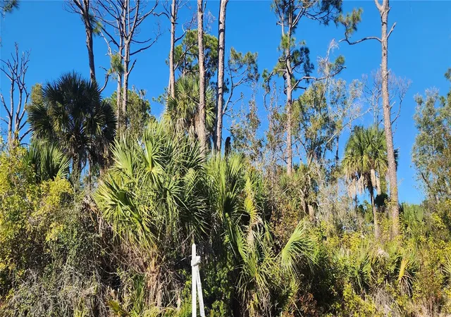 Photo 4 of Land for sale at 12006 Coleman Ave, Port Charlotte, FL 33981 | MLS# D6146062 | Listing updated on 2026-09-09