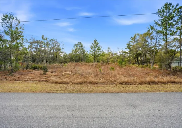Photo 3 of Land for sale at 11263 Mexican Canary Ave, Weeki Wachee, FL 34614 | MLS# TB8476173 | Listing updated on 2026-09-09