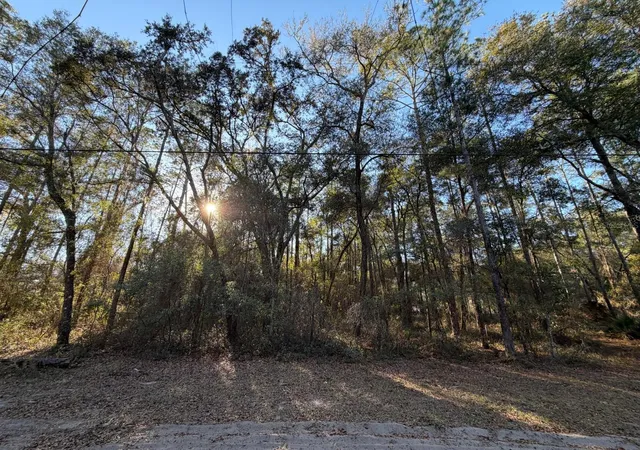 Land for sale at Tbd NE 150 Avenue, FORT MC COY, FL 32134 | MLS# OM719439