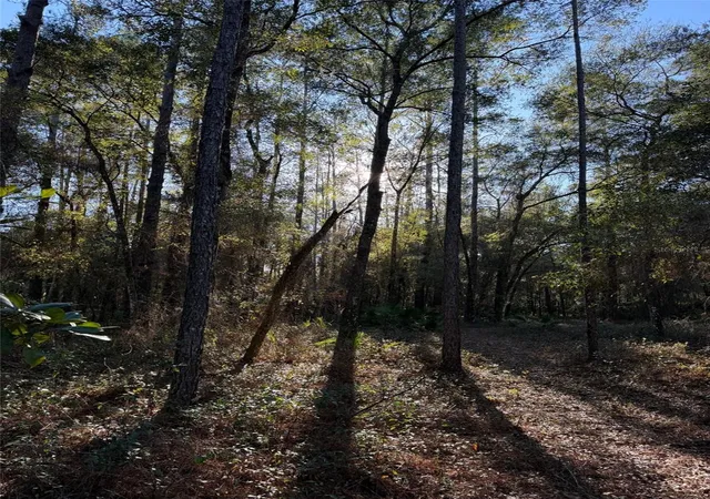Photo 2 of Land for sale at Tbd NE 150 Avenue, Fort Mc Coy, FL 32134 | MLS# OM719439 | Listing updated on 2026-09-16