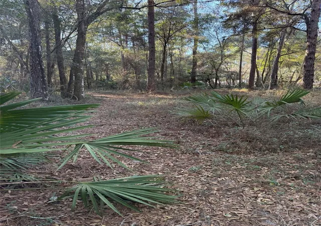 Photo 3 of Land for sale at Tbd NE 150 Avenue, Fort Mc Coy, FL 32134 | MLS# OM719439 | Listing updated on 2026-09-16