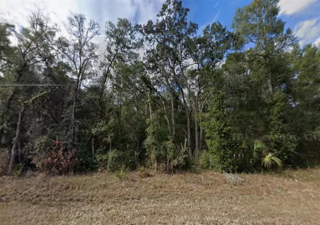 Photo 1 of Land for sale at Nw 85th Avenue, Chiefland, FL 32626 | MLS# TB8480624 | Listing updated on 2026-09-23