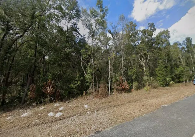Photo 2 of Land for sale at Nw 85th Avenue, Chiefland, FL 32626 | MLS# TB8480624 | Listing updated on 2026-09-23