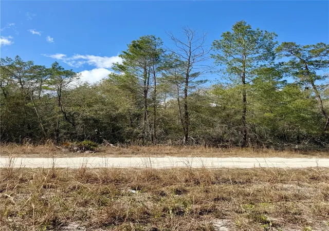 Land for sale at Tbd NE 110th Court, FORT MC COY, FL 32134 | MLS# OM719902