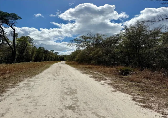 Photo 3 of Land for sale at Tbd NE 110th Court, Fort Mc Coy, FL 32134 | MLS# OM719902 | Listing updated on 2026-09-16