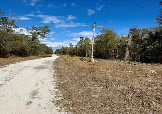 Photo 4 of Land for sale at Tbd NE 110th Court, Fort Mc Coy, FL 32134 | MLS# OM719902 | Listing updated on 2026-09-16