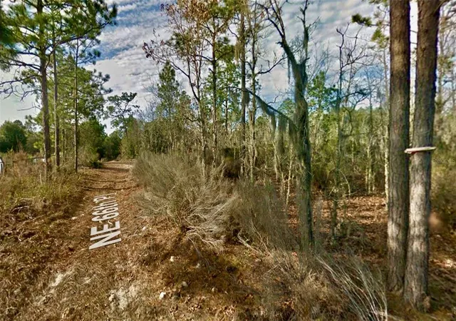 Photo 3 of Land for sale at 000 66th Place NE, Bronson, FL 32621 | MLS# O6387660 | Listing updated on 2026-10-18
